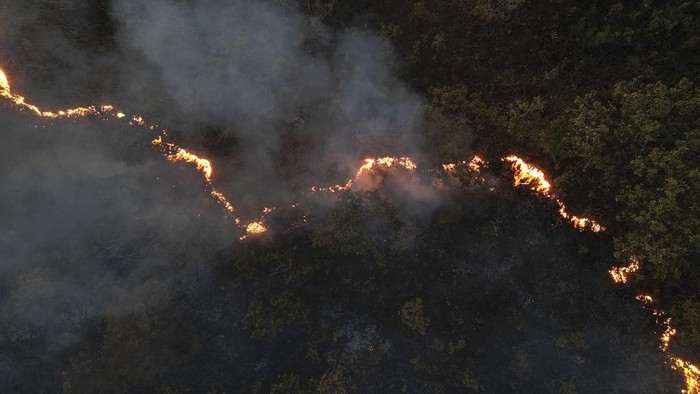 Kebakaran Landa Hutan Nasional Brasilia di Brasil Kebakaran melanda Hutan Nasional Brasilia di Brasil. Kebakaran ini terjadi di tengah musim kemarau.