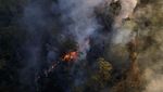 Kebakaran Landa Hutan Nasional Brasilia di Brasil