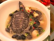 5 Permintaan Makanan Paling Aneh Presiden Amerika yang Diungkap Pelayan Presiden