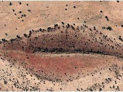 Penampakan Aneh di Google Earth, Sempat Bikin Heboh