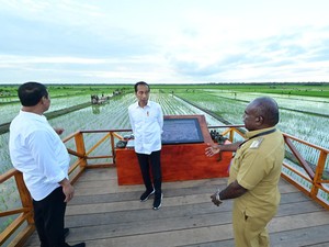 Begini Simulasi Penyebaran Pupuk Pakai Drone di Merauke yang Ditinjau Jokowi