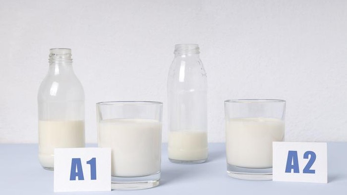 Susu sapi A2 bisa menjadi pilihan yang baik bagi mereka yang benar-benar tidak toleran dengan susu sapi biasa.