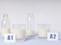 Metode Efektif Menyimpan Susu Sapi Agar Tahan Lebih Lama