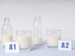 Metode Efektif Menyimpan Susu Sapi Agar Tahan Lebih Lama