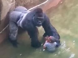 Seperti Foto Biasa, Tapi Punya Cerita Tragis Mengerikan