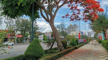 Seperti dua pohon yang disatukan ya... Foto: Boredpanda