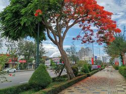 Tampilan Tanaman Ini Nyata, Bukan Hasil Photoshop