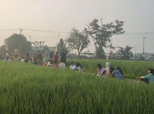 Nikmatnya Sarapan di Tepi Sawah dengan Pemandangan Perbukitan