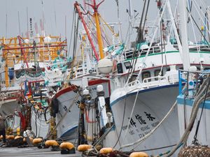 Kapal Kargo Tenggelam di Perairan Taiwan, 9 Pelaut Hilang