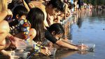 Antusias Bule Ikut Lepaskan Tukik di Pantai Bali