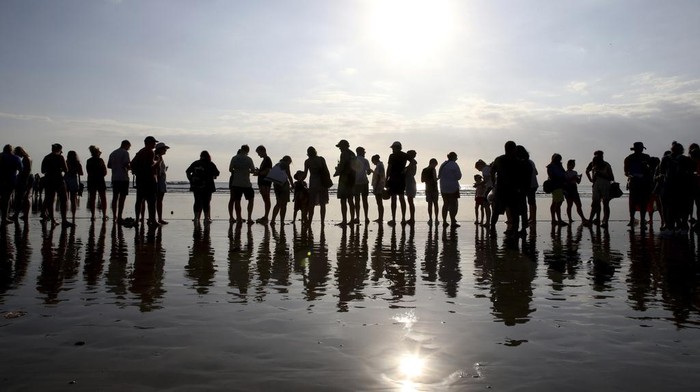 Tourists prepare to release baby sea turtles at Kuta beach, Bali, Indonesia on Tuesday, July 23, 2024. About three hundred newly hatched Lekang turtles were released during a campaign to save the endangered sea turtle. (AP Photo/Firdia Lisnawati)