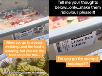 Duh! Pengantin Ini Sajikan Makanan Tamu di Bak Pasir Kucing