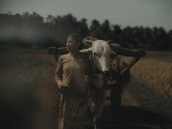 Foto: Gaya Estetis Dian Sastrowardoyo Hingga Putri Marino Berkebaya di Sawah