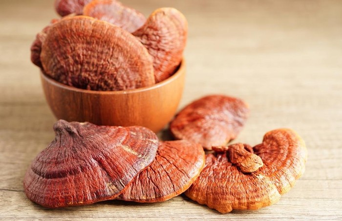 Jaga Kesehatan Jantung dengan Konsumsi Sido Muncul Natural Lingzhi