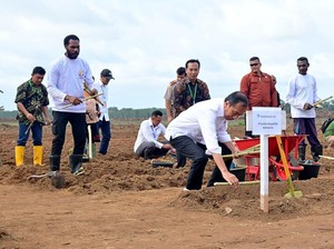 Jokowi Tanam Tebu di Merauke: Kedaulatan Pangan Harus Jadi Konsentrasi
