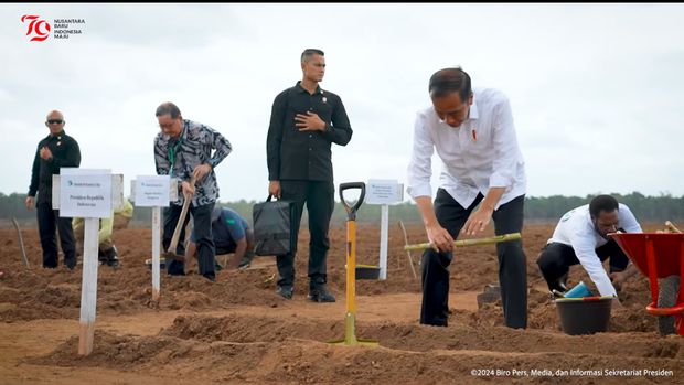 Presiden Joko Widodo (Jokowi) melakukan penanaman tebu perdana di PT Global Papua Abadi, Kampung Sermayam, Distrik Tanah Miring, Kabupaten Merauke, Provinsi Papua Selatan, pada Selasa, 23 Juli 2024. Jokowi menyebut kegiatan ini merupakan langkah strategis dalam menjawab krisis pangan global yang dipicu oleh perubahan iklim ekstrem.