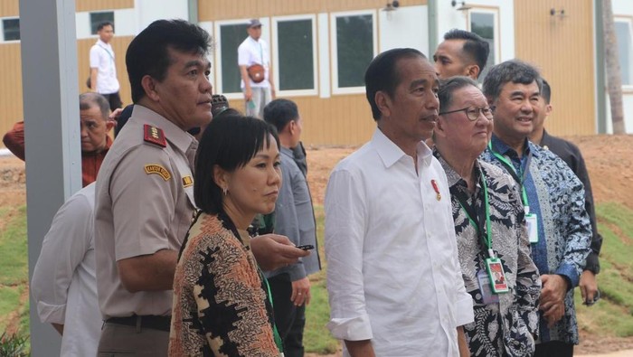 Presiden Joko Widodo (Jokowi) meninjau instalasi karantina tumbuhan 1,9 juta bibit tebu dari Australia di Sermayam, Distrik Tanah Miring, Kabupaten Merauke, Provinsi Papua Selatan pada Selasa, 23 Juli 2024. Karantina terhadap bibit tebu dilakukan secara ketat dari pre-border, at-border sampai post-border.