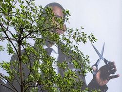 Kumpulan Foto Dengan Timing Sempurna, Hasilnya Bikin Pikiran Terkecoh