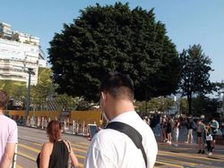 Kumpulan Foto Dengan Timing Sempurna, Hasilnya Bikin Pikiran Terkecoh