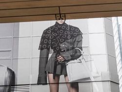 Kumpulan Foto Dengan Timing Sempurna, Hasilnya Bikin Pikiran Terkecoh