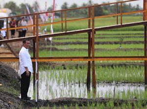 Mentan Amran Targetkan RI Swasembada Pangan 3 Tahun ke Depan