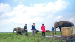 Titik Panas di Suaka Margasatwa Padang Sugihan OKI Nihil