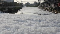 Seluruh aliran sungai pun berubah menjadi seperti lautan salju.  