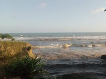 Viral Cairan Hitam Misterius Mencemari Pantai Sukabumi