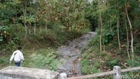 Pantauan detikJatim di lokasi, semua sungai di Dusun Kandangan sudah kering sampai terlihat dasarnya berupa bebatuan