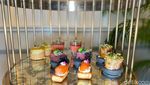 Afternoon Tea Cantik Bersama Lancome x The Langham Jakarta