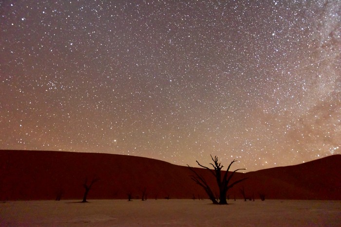 Gurun Namib di Namibia