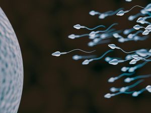 20 Persen Pria Mandul di Indonesia Akibat Azoospermia