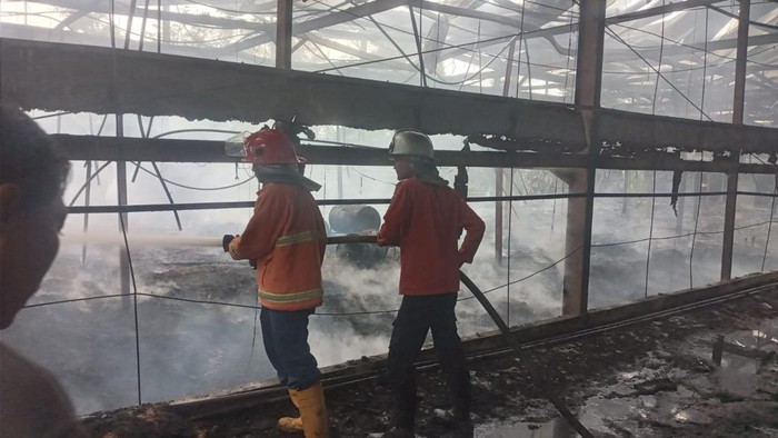 Petugas damkar berusaha memadamkan api yang membakar kandang berisi 24 ribu bibit ayam di Desa Sunyalangu, Kecamatan Karanglewas, Kabupaten Banyumas, Kamis (25/7/2024).