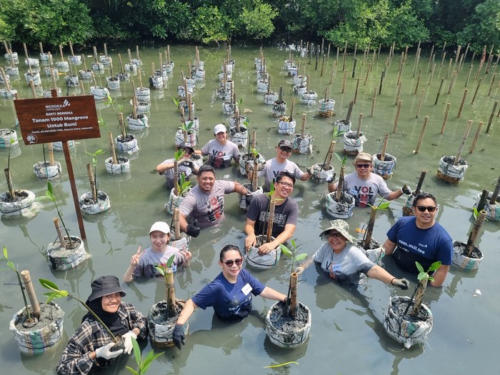 Penanaman Mangrove MDKA