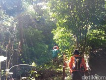 Seminggu Tak Ketemu, SAR Hentikan Pencarian Nenek Hilang di Sikka