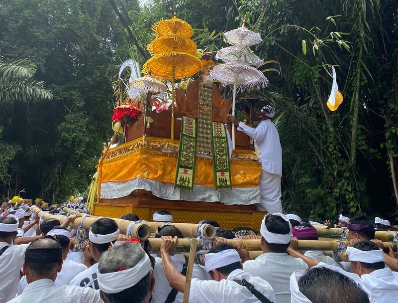 Prosesi tradisi nyelung, tradisi menghaturkan persembahan hasil pertanian warga di Pura Pucak Pausan, Desa Adat Pausan, Desa Buahan Kaja, Kecamatan Payangan, Gianyar, Rabu (24/7/2024). (Istimewa)