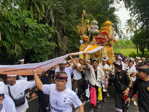 Tradisi Nyelung, Persembahkan Hasil Tani di Buahan Gianyar Tiap 10 Tahun Sekali