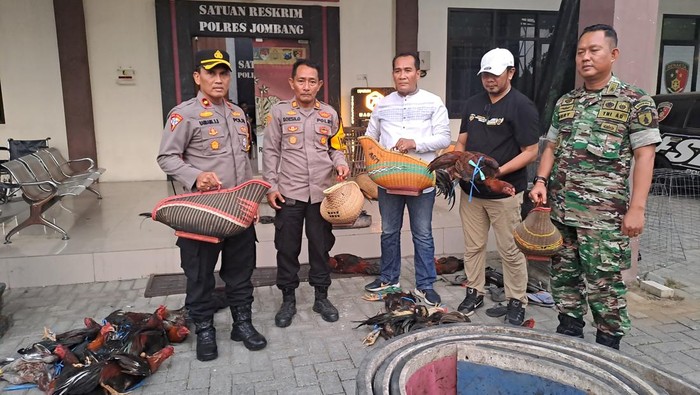 Penggerebekan Arena Sabung Ayam Dekat Ponpes di Jombang, 13 Pelaku Ditangkap