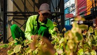 Penataan ini dilakukan guna menambah estetika kawasan tersebut.  