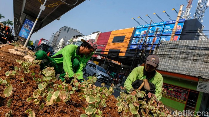 Biar Asri, Jalur Hijau Kolong MRT Fatmawati Ditata Kolong MRT di Jalan Fatmawati ditata sebagai jalur hijau. Berbagai jenis tanaman hias ditanam untuk menambah estetika.