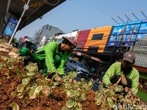 Biar Asri, Jalur Hijau Kolong MRT Fatmawati Ditata