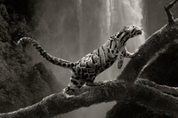 Creative Photo Awards Nominations