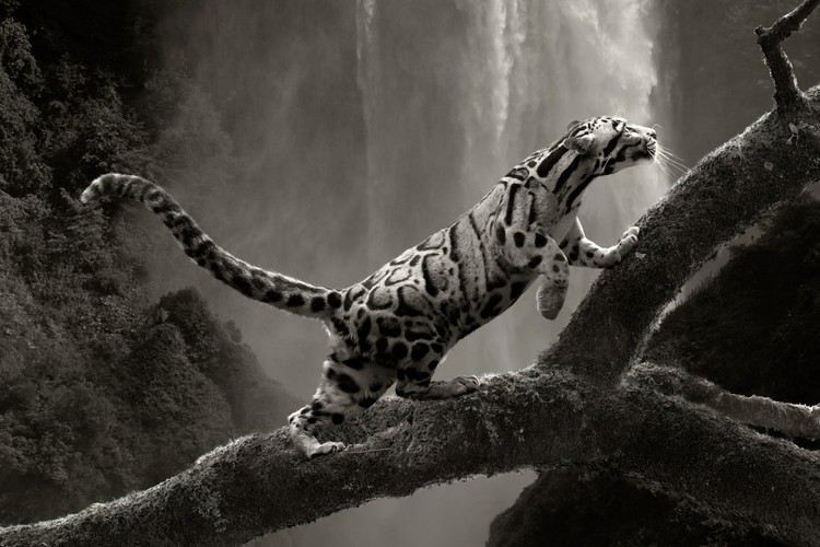 Creative Photo Awards Nominations