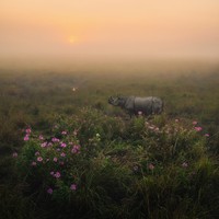 Creative Photo Awards Nominations