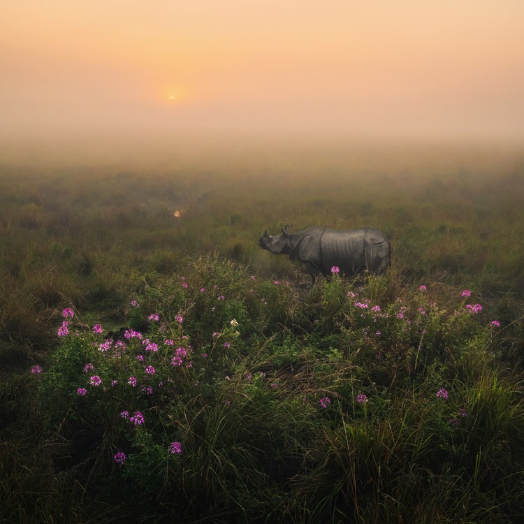 Creative Photo Awards Nominations