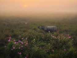 Karya Nominator Siena Creative Photo Awards, Ada dari Indonesia