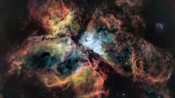 Nominasi kategori Nature & Landscape:  Karya Taranjot Singh (Australia) Foto: Siena Awards