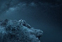 Creative Photo Awards Nominations