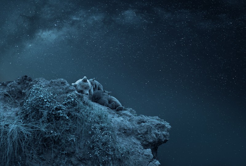 Creative Photo Awards Nominations