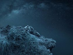 Karya Nominator Siena Creative Photo Awards, Ada dari Indonesia